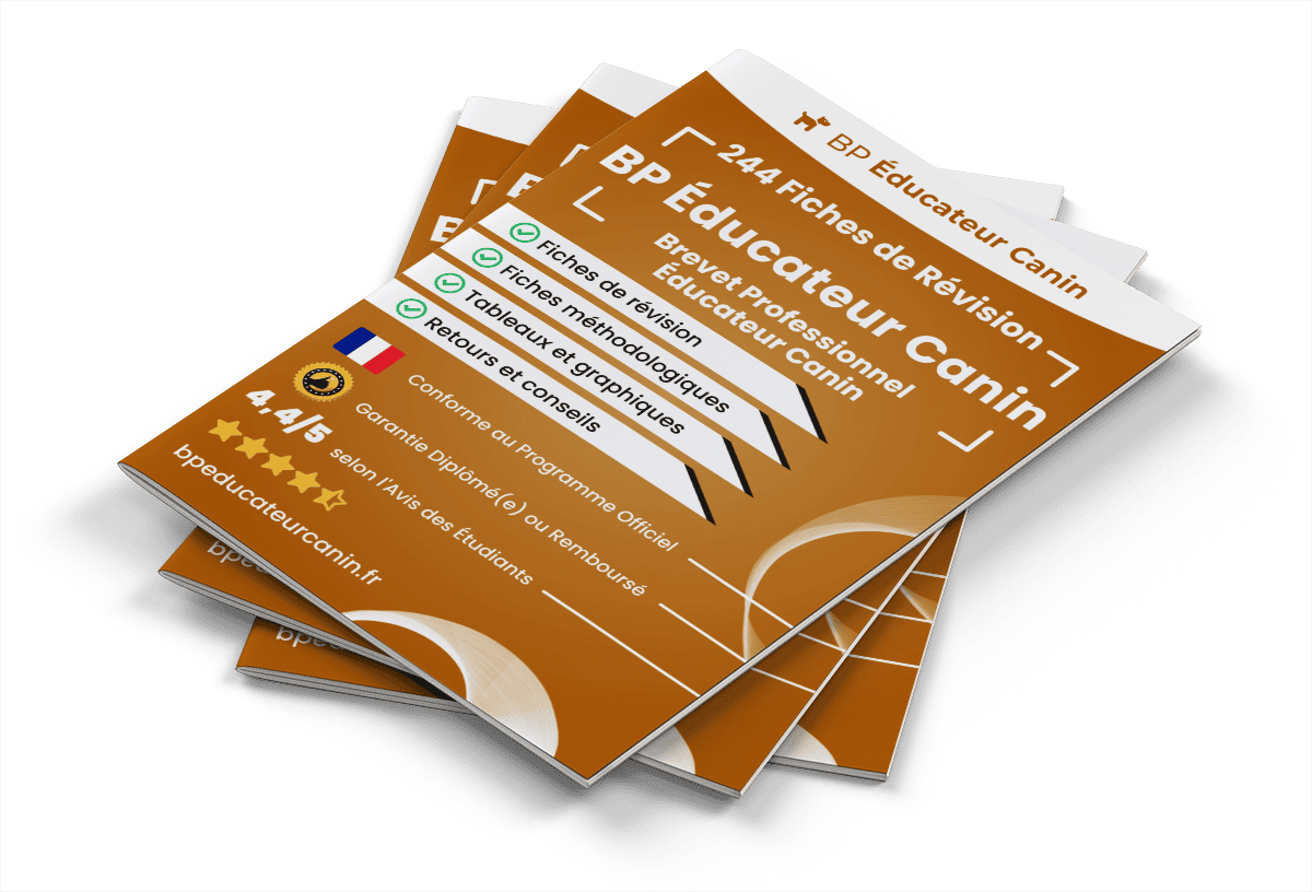 244 Fiches de Révision pour le BP Éducateur Canin